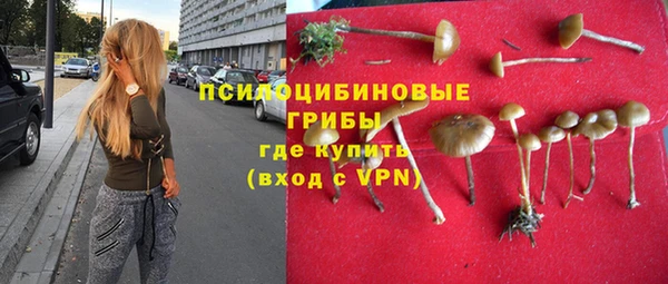 Альфа ПВП Липки
