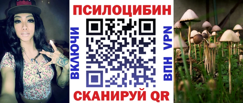 Псилоцибиновые грибы Psilocybe  Бийск 