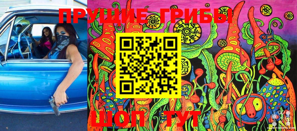 Псилоцибиновые грибы MAGIC MUSHROOMS  Бийск 