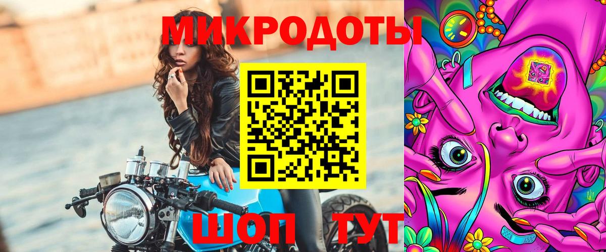 Галлюциногенные грибы Psilocybine cubensis Бийск