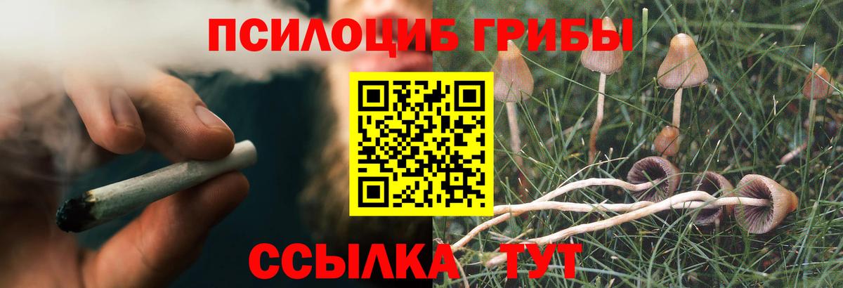 Галлюциногенные грибы Magic Shrooms  Вход с VPN  Бийск 